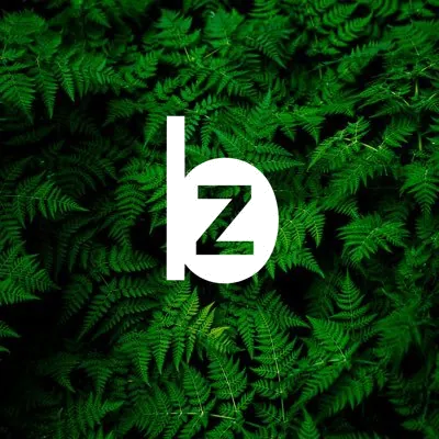 bitzero